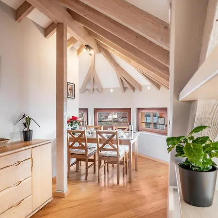 Apartment Hasenauer *